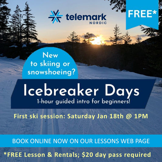 Icebreaker Session